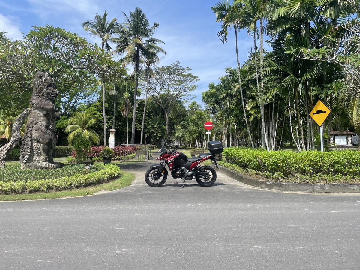 Suzuki V-Strom 250 Red 2025 side view